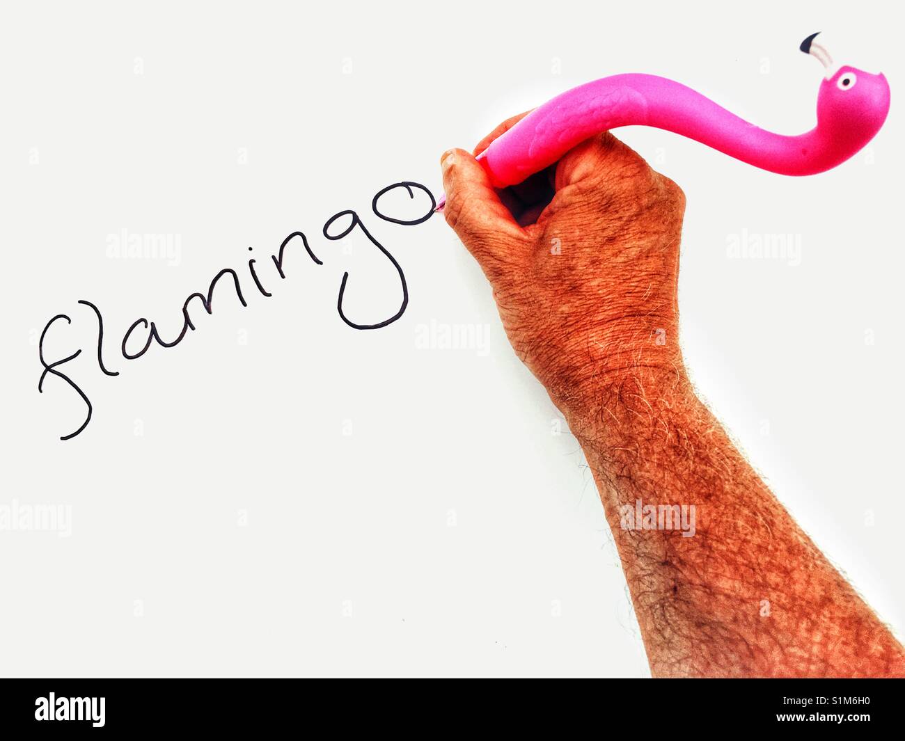 Flamingo pen - Smartphone Captured Stock Image