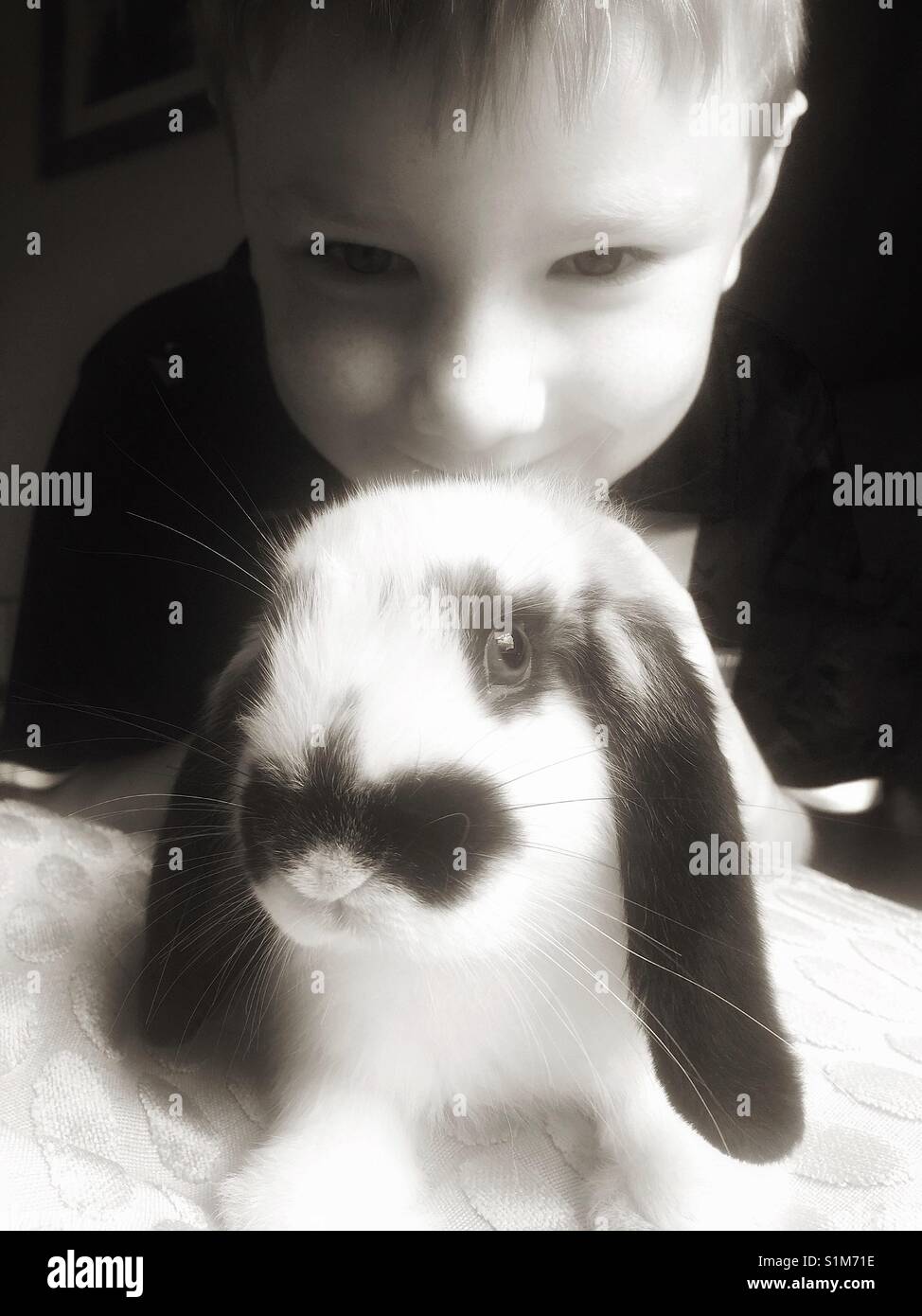 Boy and rabbit Stock Photo