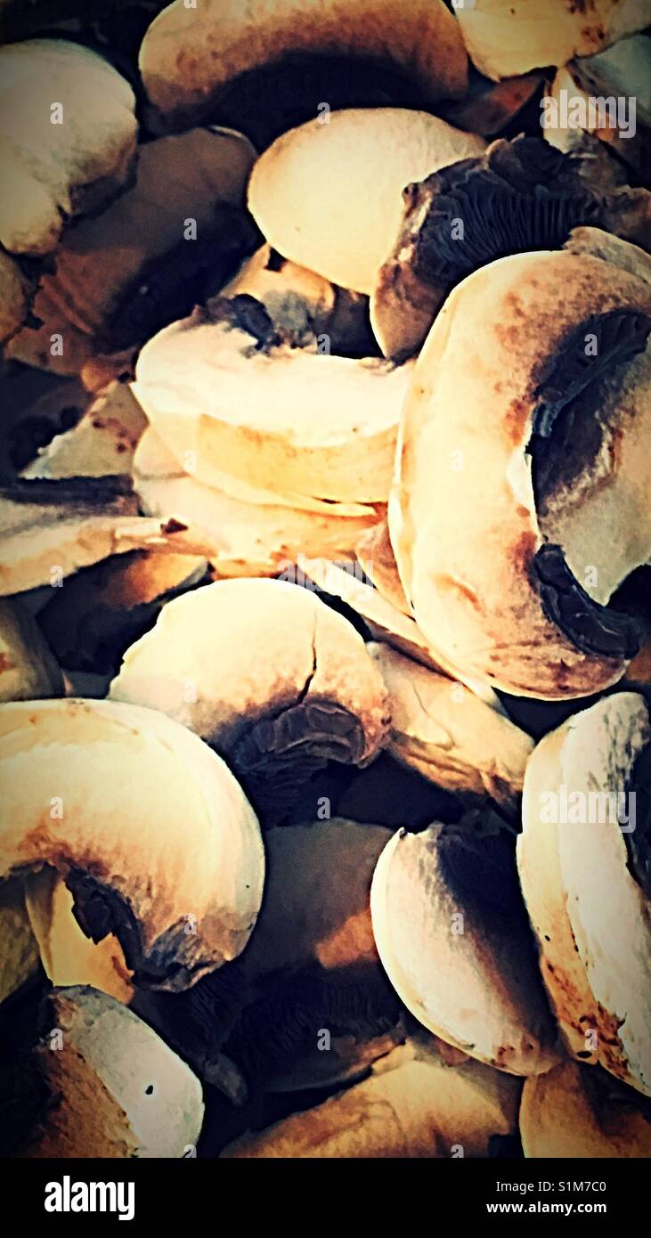 The joy of food - Smartphone Captured Stock Image