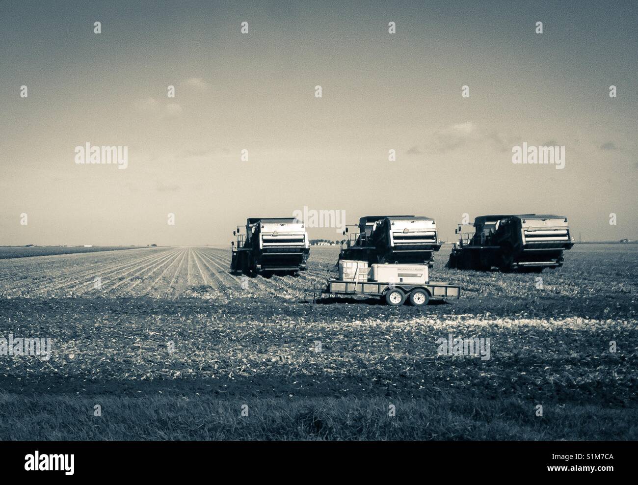 Farming machinery in the cotton field. - Smartphone Captured Stock Image
