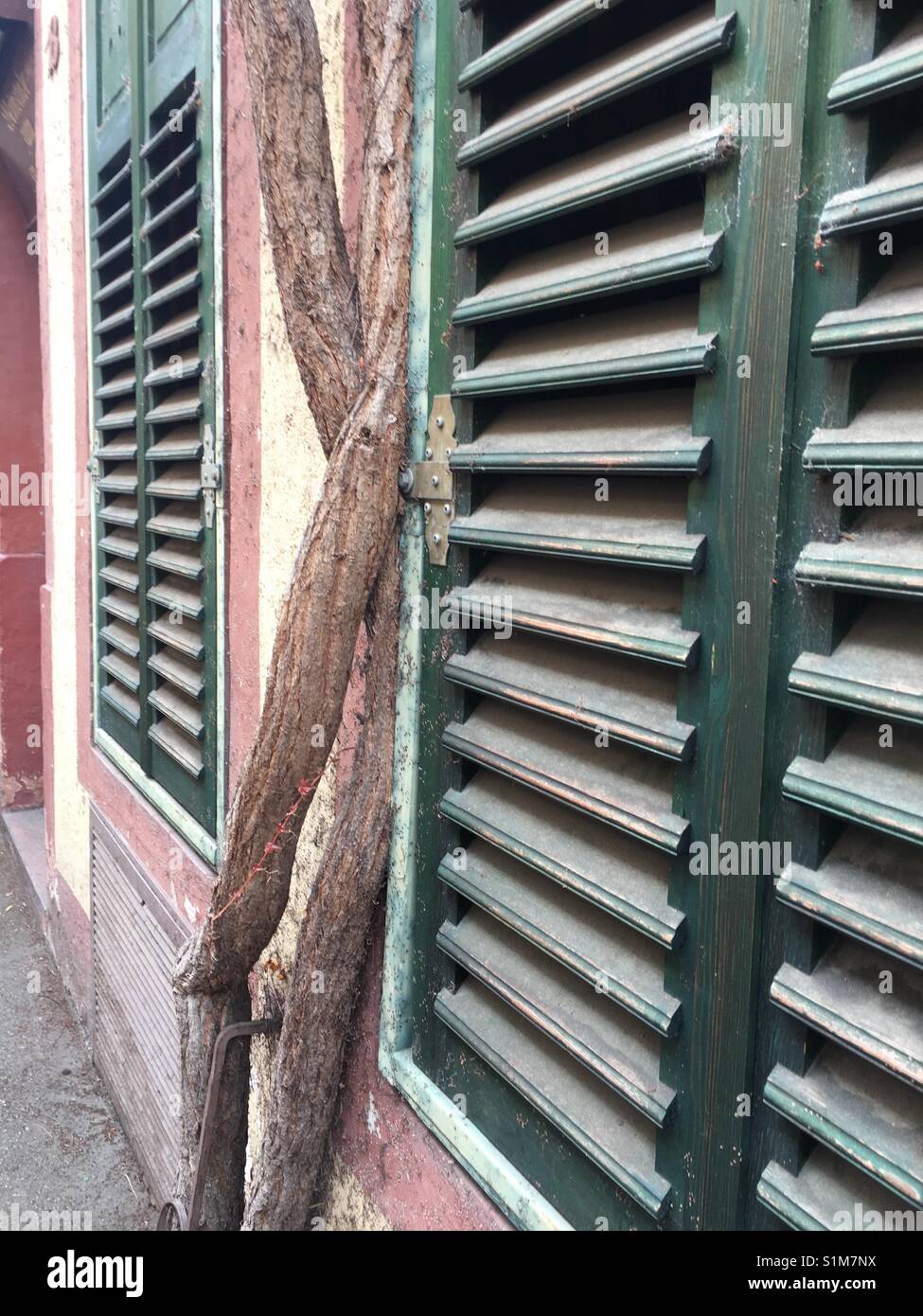 Window shutters in Heidelberg in Germany - Smartphone Captured Stock Image