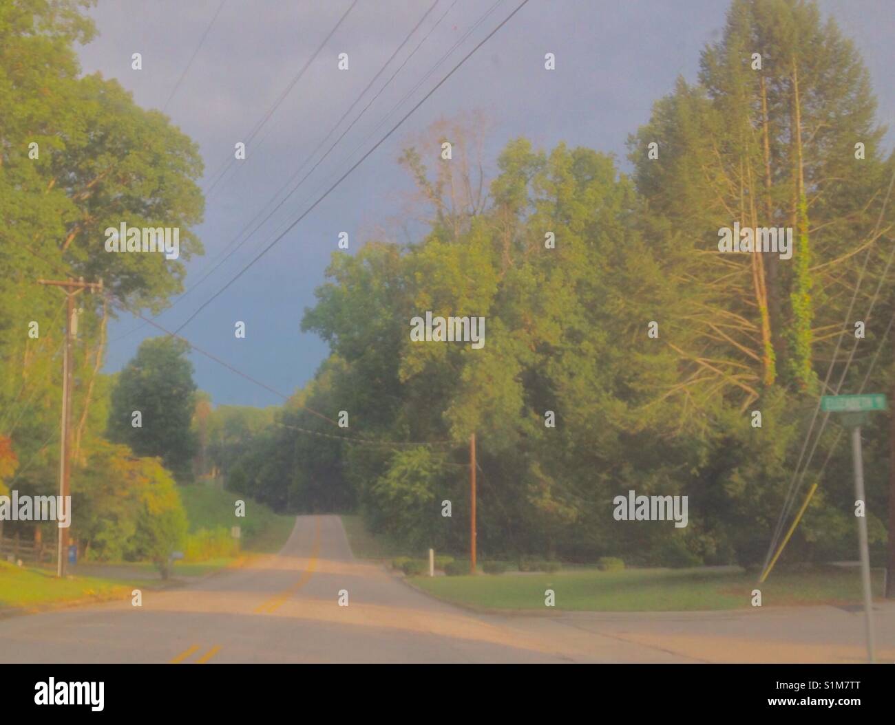Nostalgic colorized- style photo of road leading downhill into trees and sky - Smartphone Captured Stock Image