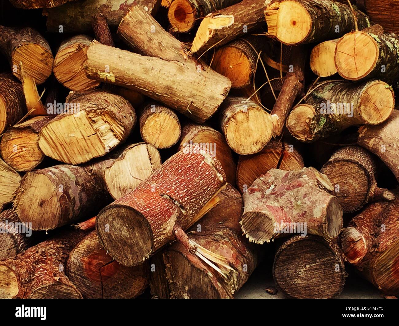 Pile of Cherry Tree Logs Stock Photo Alamy