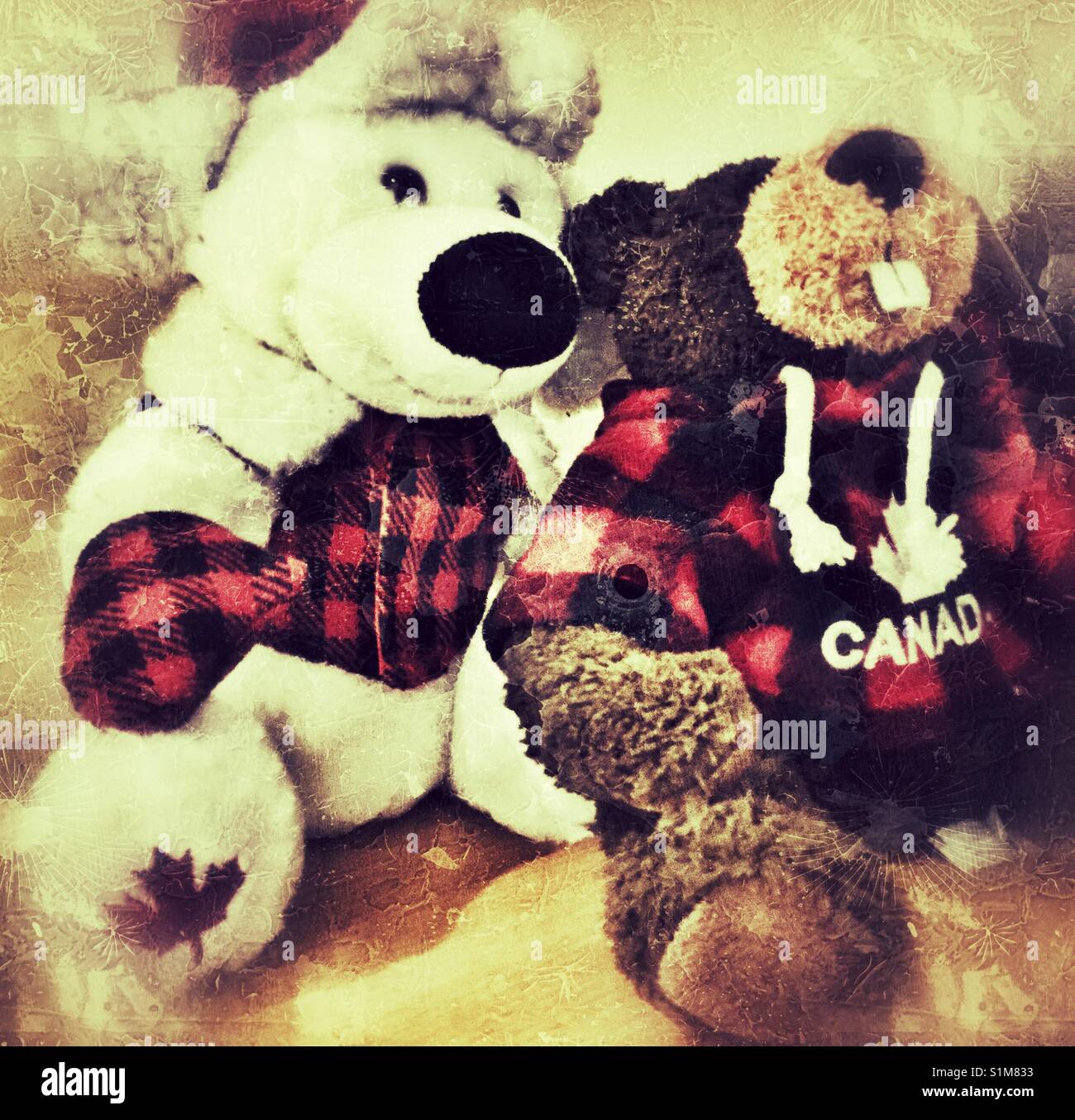 Stuffed toy polar bear and beaver. - Smartphone Captured Stock Image