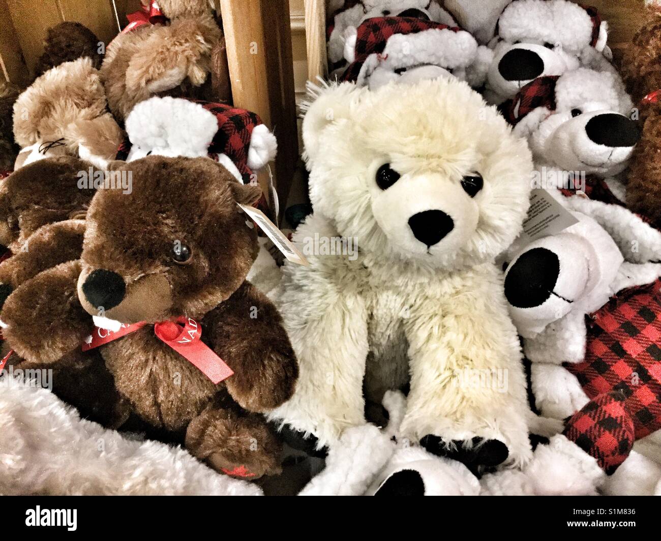 Stuffed animals in a souvenir shop. - Smartphone Captured Stock Image