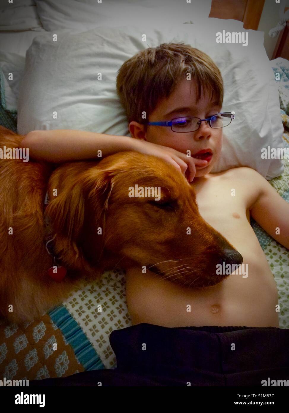 A golden retriever lays her head on her boy's chest. - Smartphone Captured Stock Image