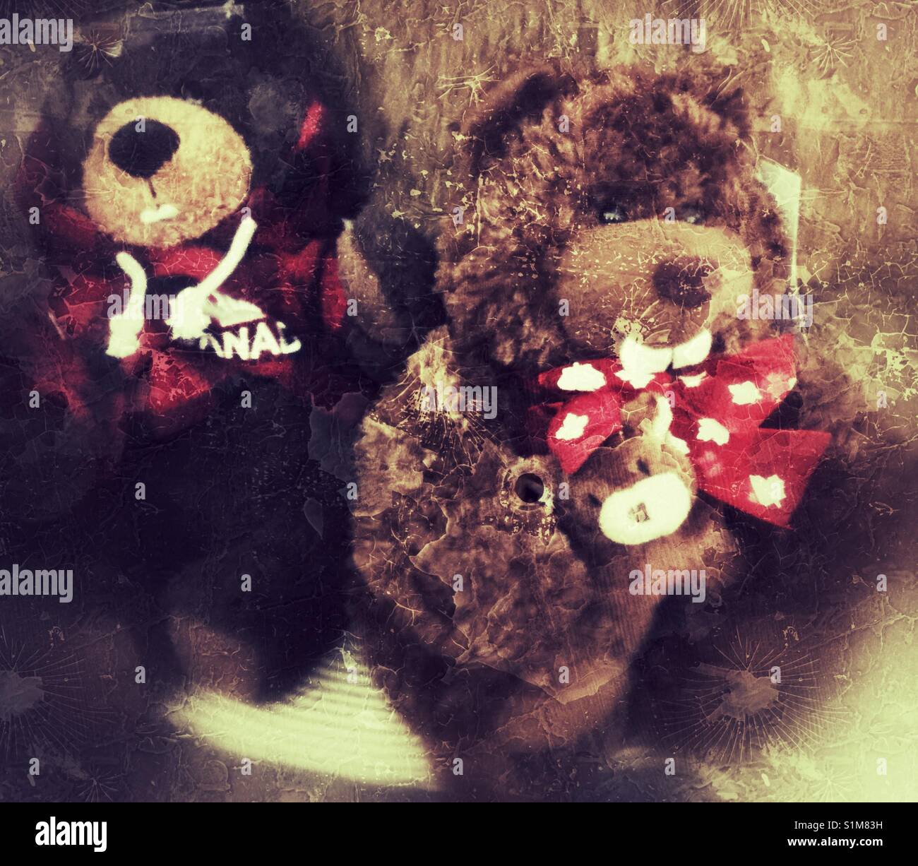 Two Canadian stuffed souvenir beavers. - Smartphone Captured Stock Image