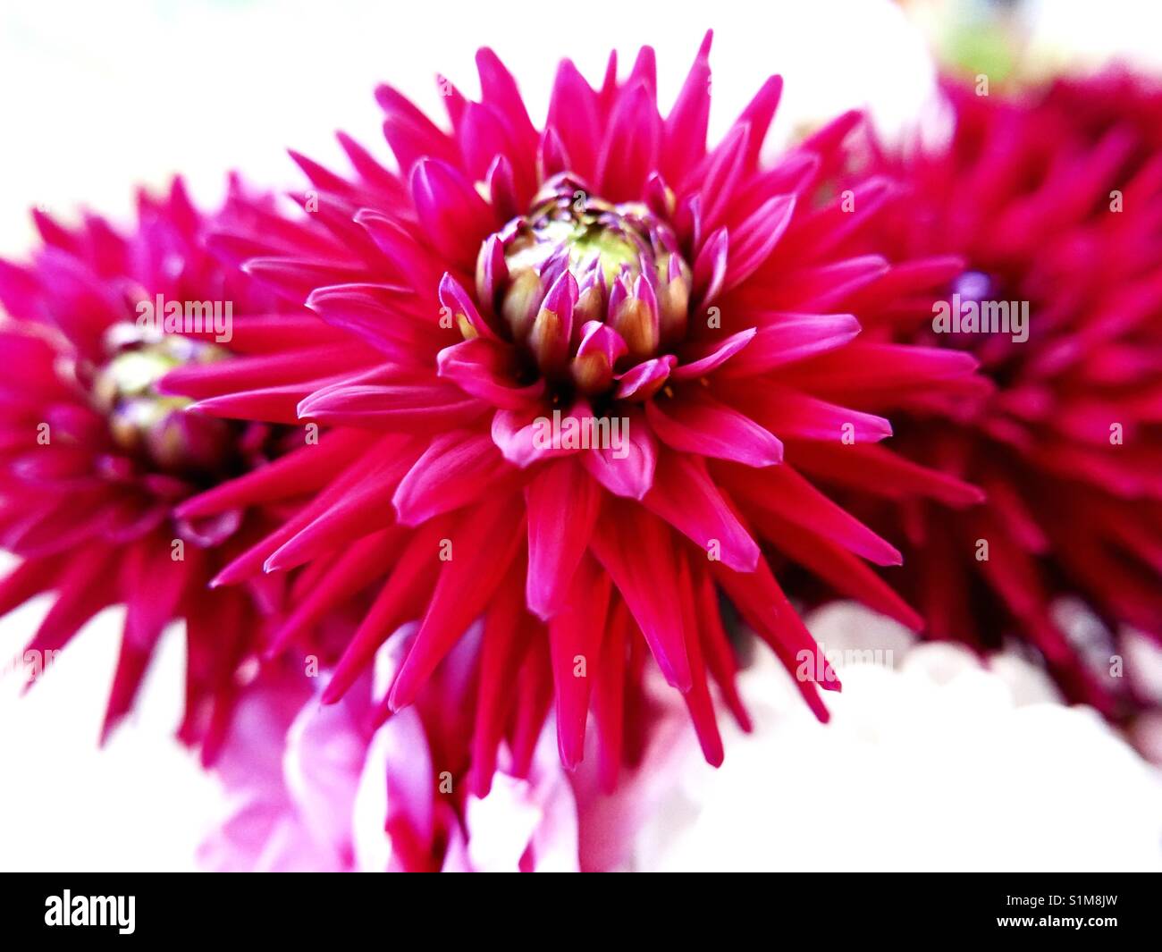 Splash of colour hi-res stock photography and images - Alamy