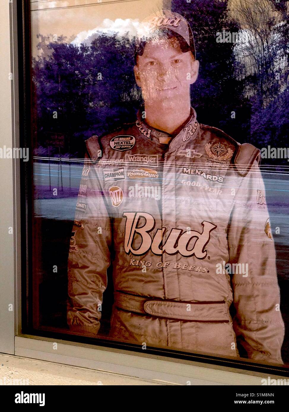 Cardboard cutout of Dale Earnhardt Jr. staring at me through the window