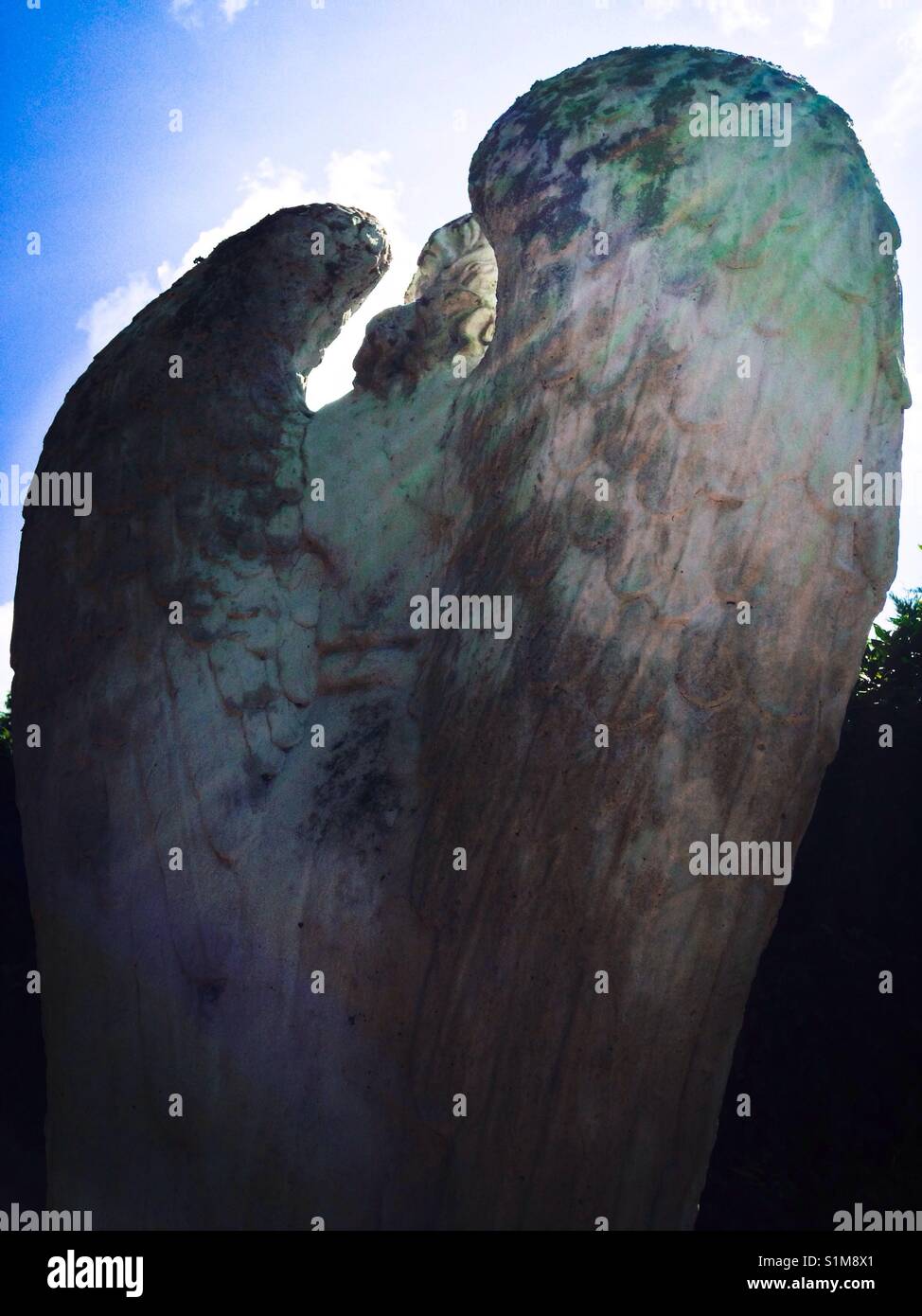 Blue angel- back view of blue wings on statue of angel in midday sun with sunbeam - Smartphone Captured Stock Image