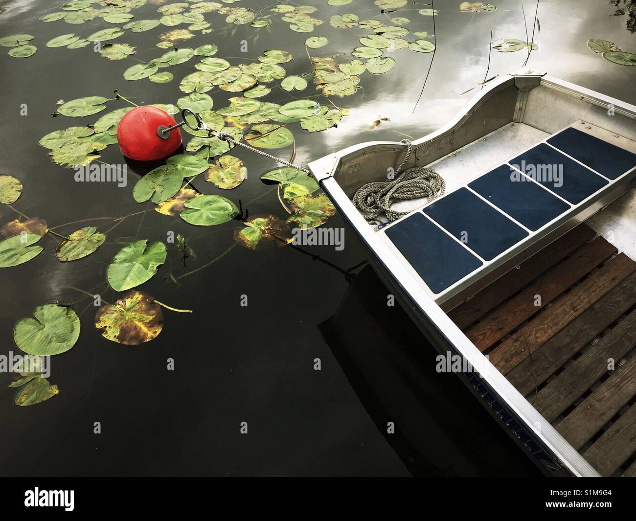 Rowing boat, water lillies, buoy - Smartphone Captured Stock Image