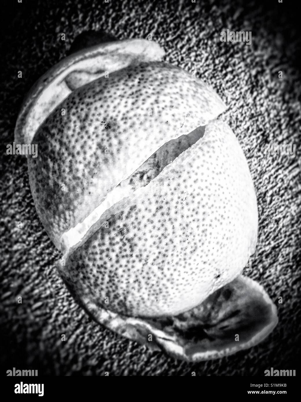 Monochrome lemon - Smartphone Captured Stock Image