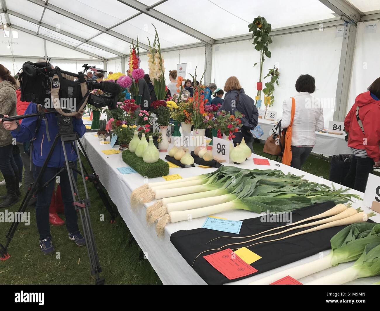 Vale of Glamorgan show, Fonmon Castle, Wales - August 2017: A TV crew film the entries in the best vegetables competition at the annual event - Smartphone Captured Stock Image