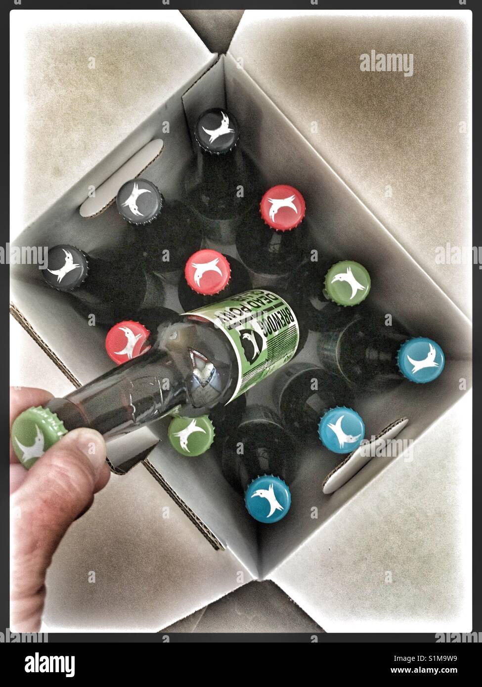 Mixed case of Brew Dog Beers. Stock Photo