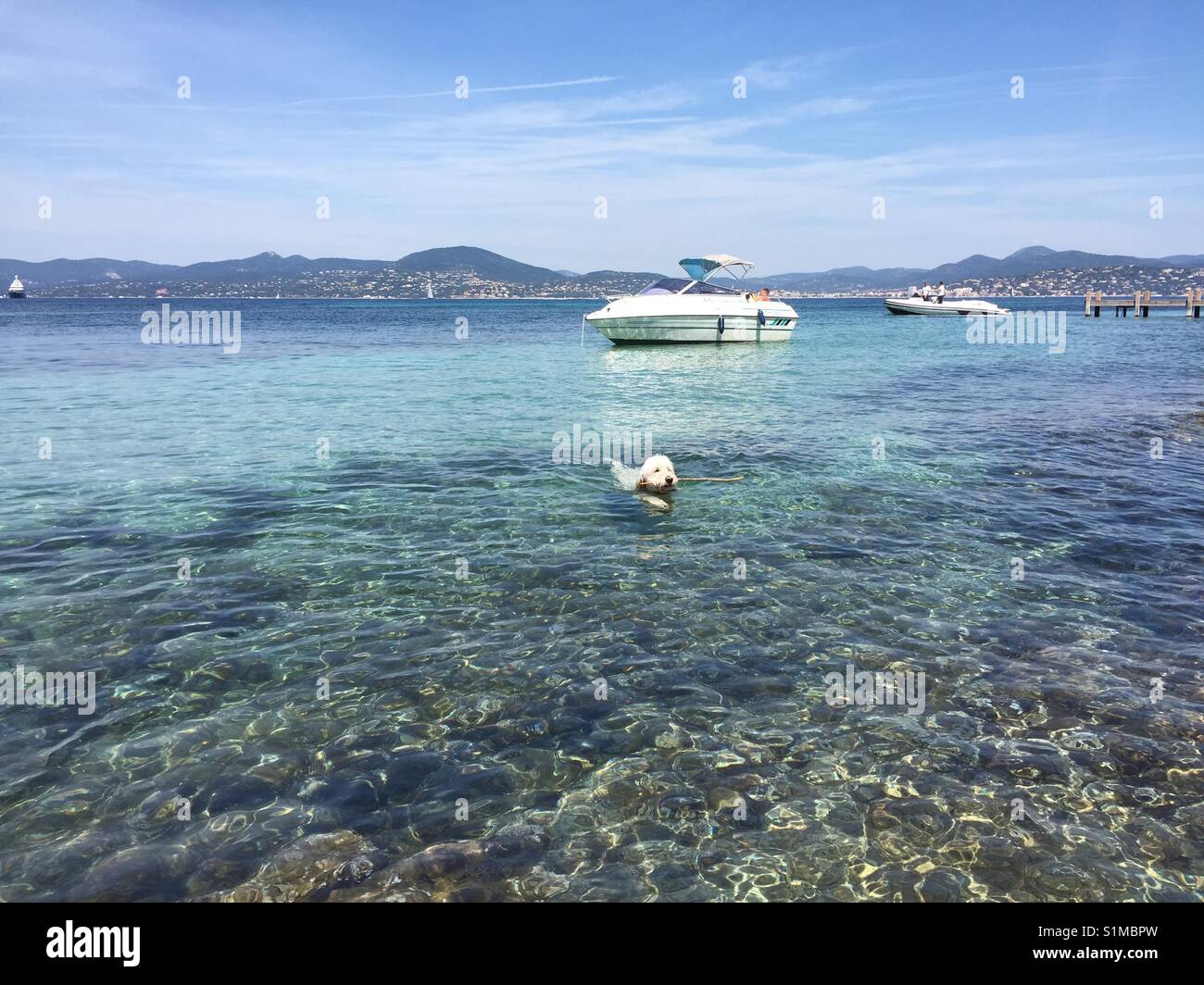 Bucht in Saint Tropez Côte D'Azur mit Meer und Himmel, weisser Hund schwimmt vor Motorboot im türkisem Wasser über Riff mit Bergen im Hintergrund Stock Photo