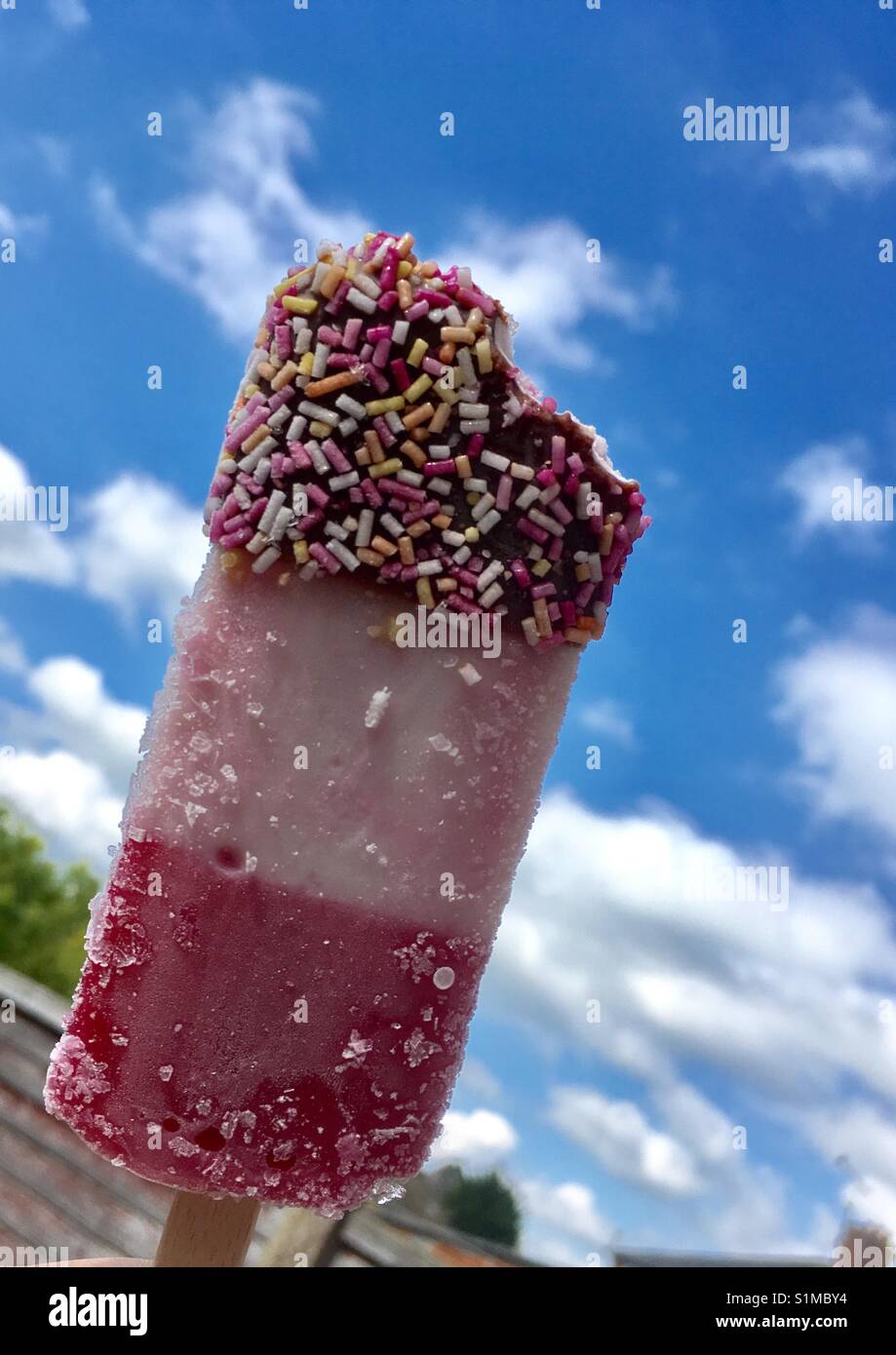 Ice pop in the sun Stock Photo Alamy