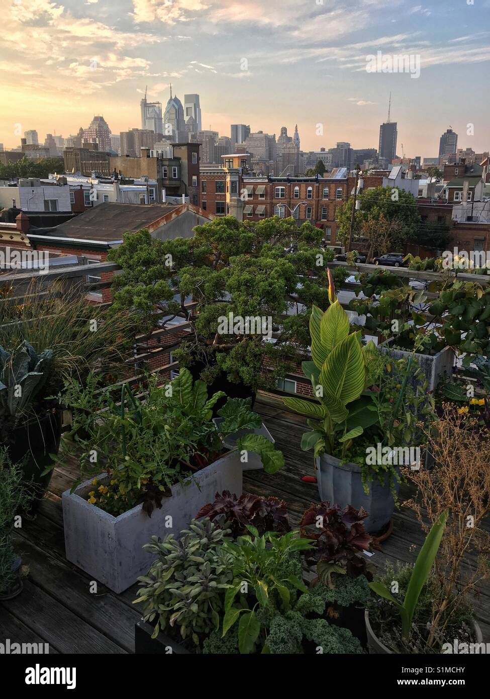 Roof top garden hires stock photography and images Alamy