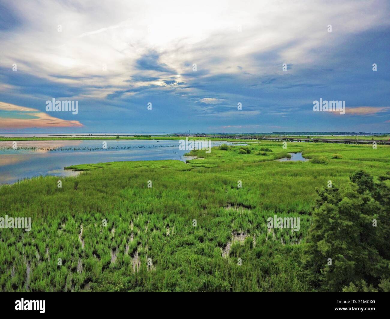 Mobile Bay wetlands Stock Photo