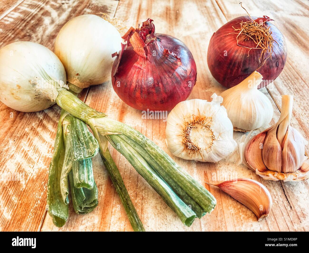 Red onions, white onions with green tops, and garlic bulbs - Smartphone Captured Stock Image