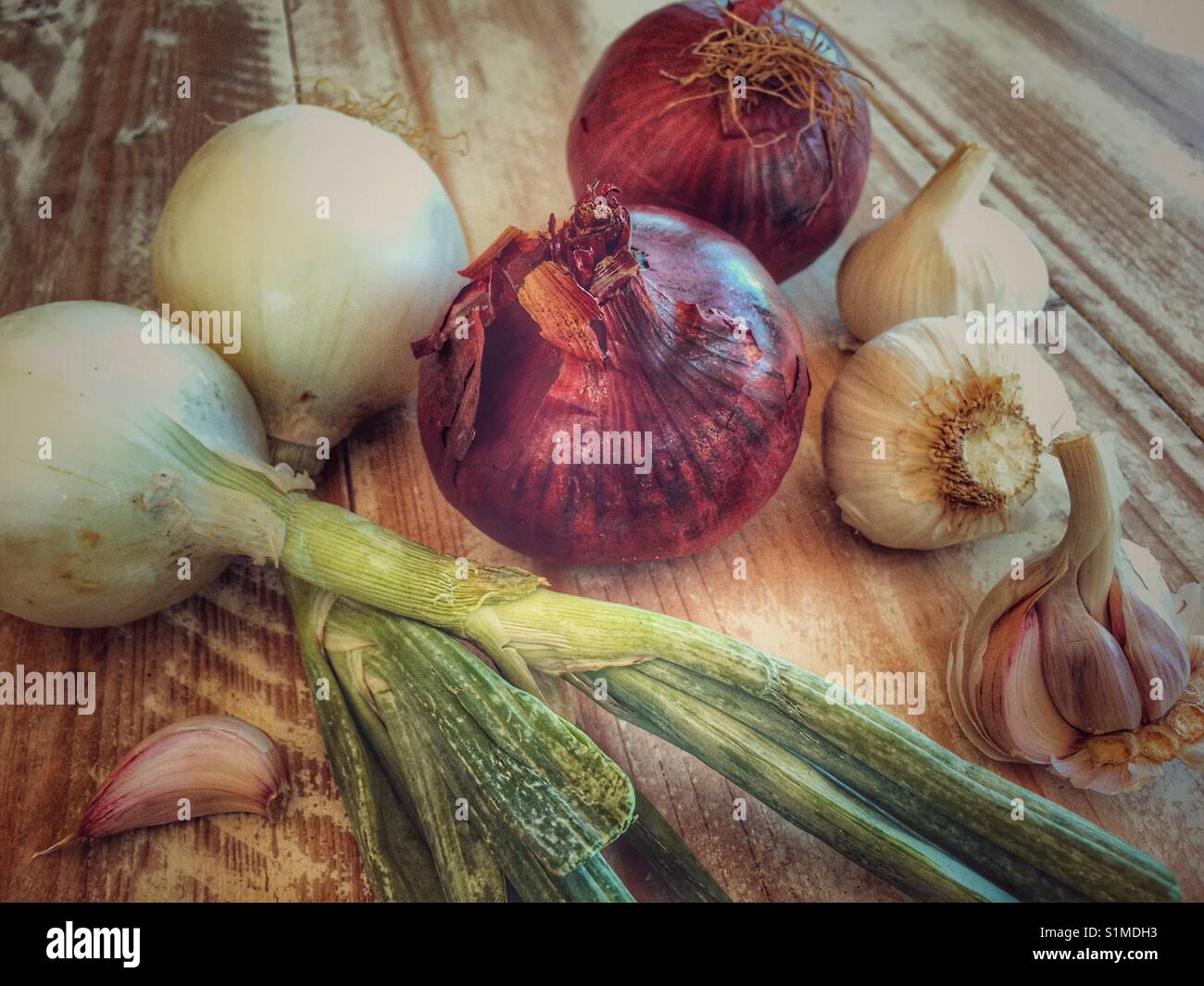 Red onions, white onions with green tops, and garlic bulbs - Smartphone Captured Stock Image