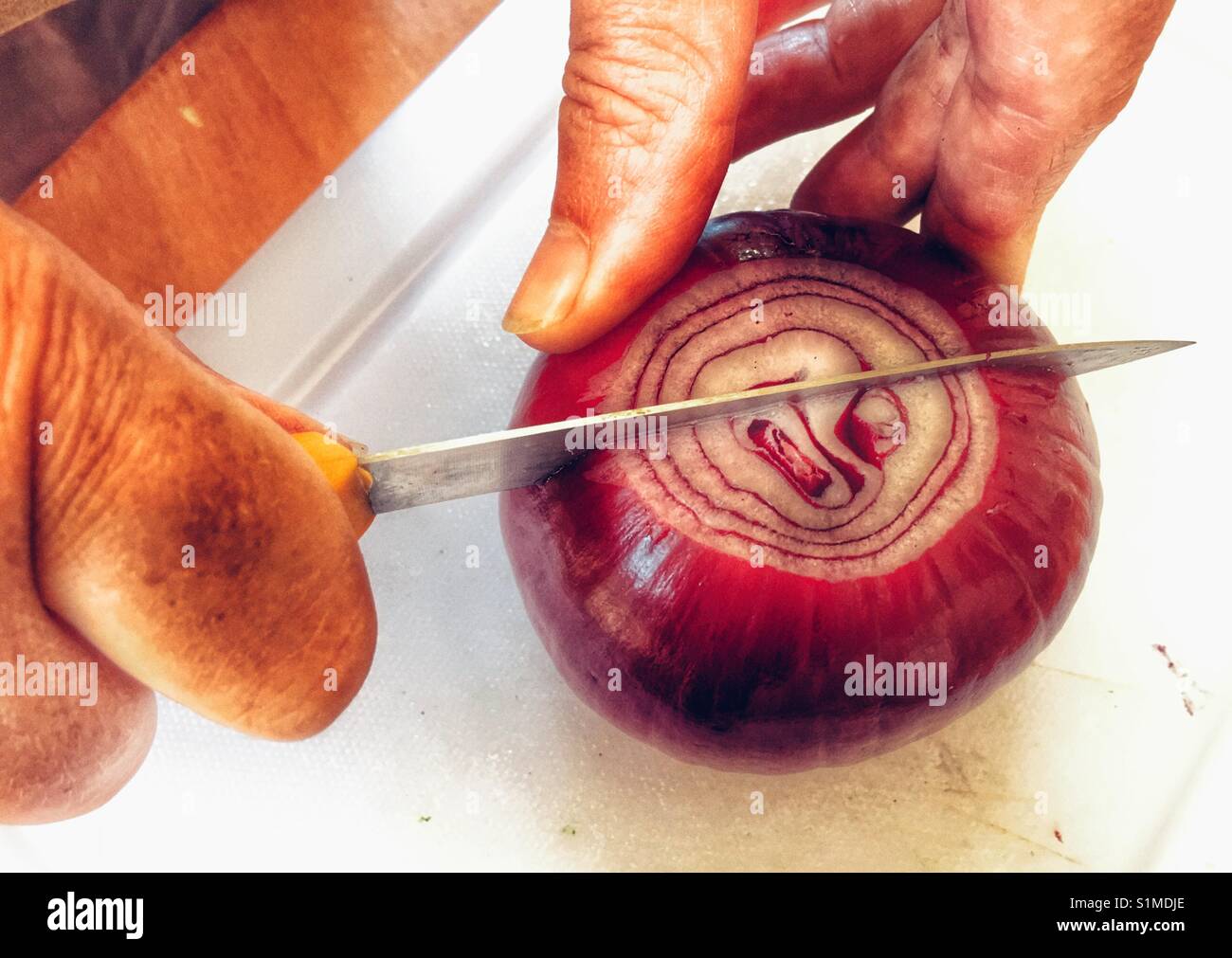 Cutting a red onion in half Stock Photo Alamy