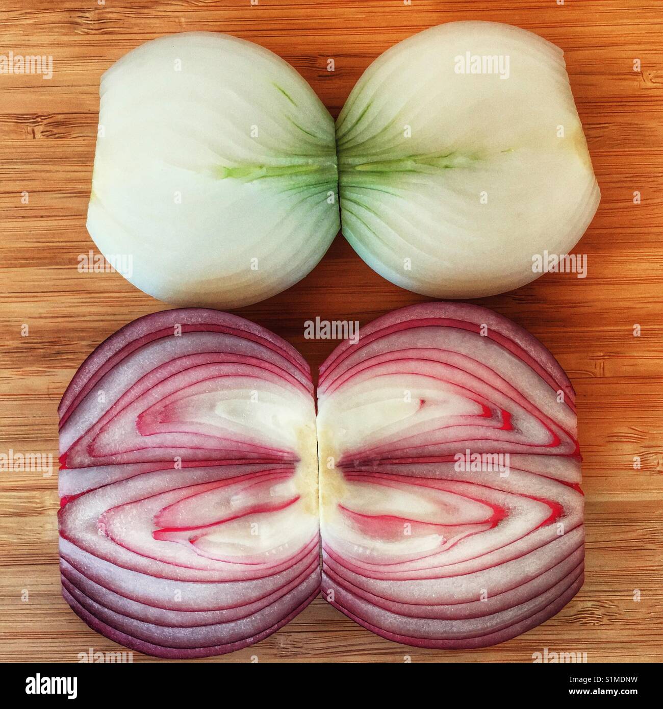 Red onion and white onion, both cut in half Stock Photo