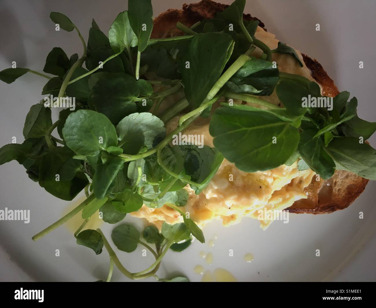 Scrambled eggs on toast - Smartphone Captured Stock Image