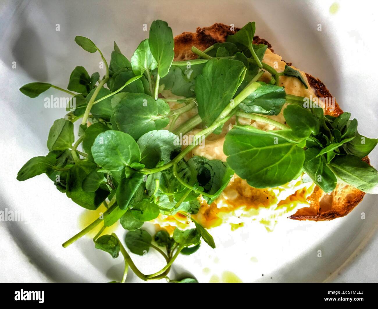 Scrambled eggs on toast - Smartphone Captured Stock Image