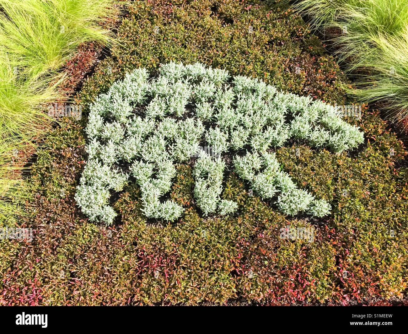 Polar bear in topiary, Ontario, Canada. An annual event, outdoors, inspired by cultural events every year. Beauty in short measures. - Smartphone Captured Stock Image