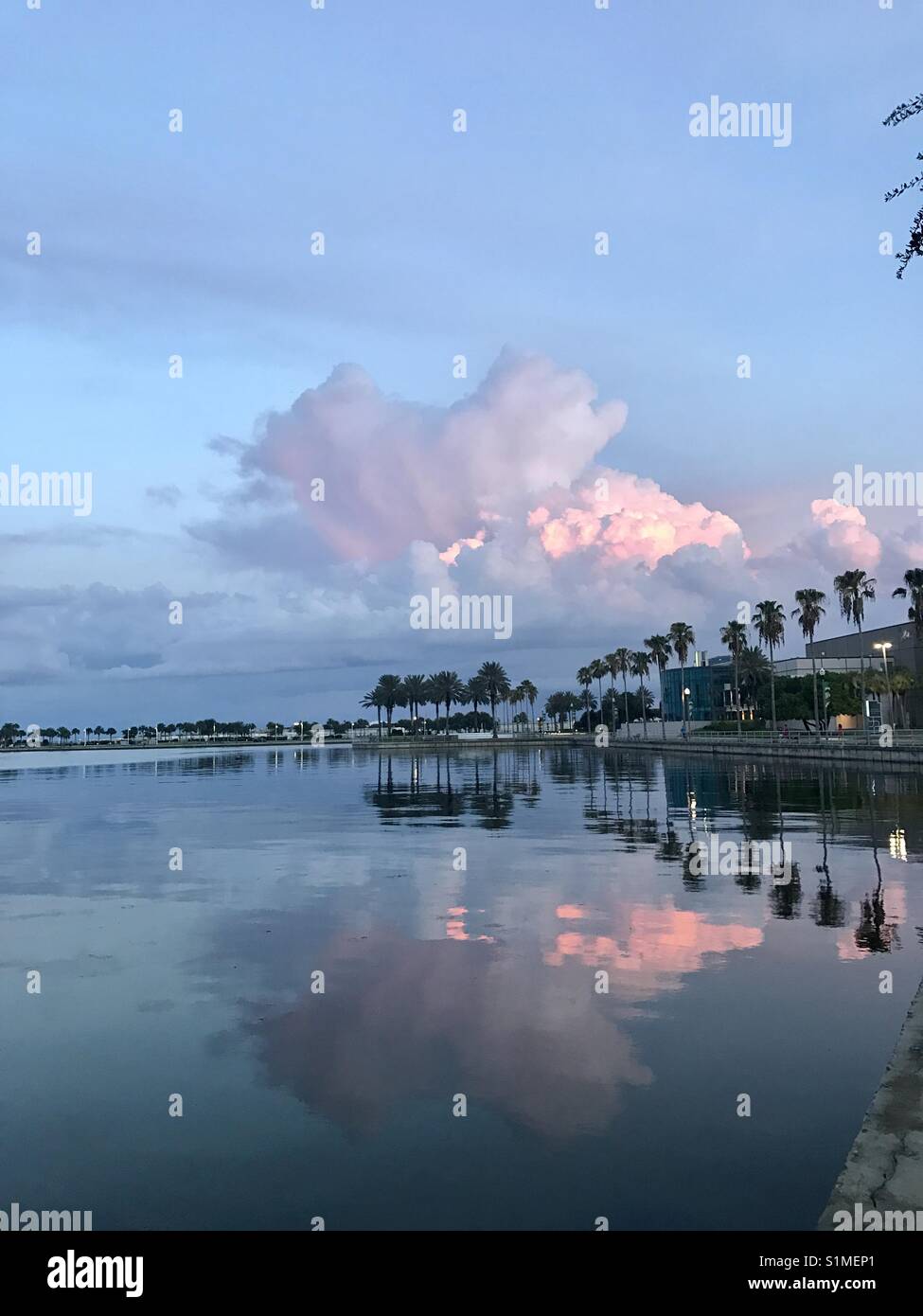 Downtown St. Petersburg water reflection Stock Photo Alamy