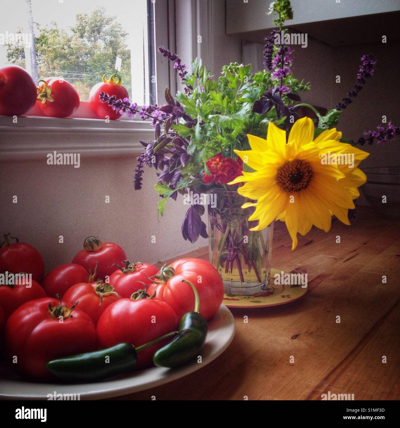 Tomatoes, herbs,and flowers still life. - Smartphone Captured Stock Image