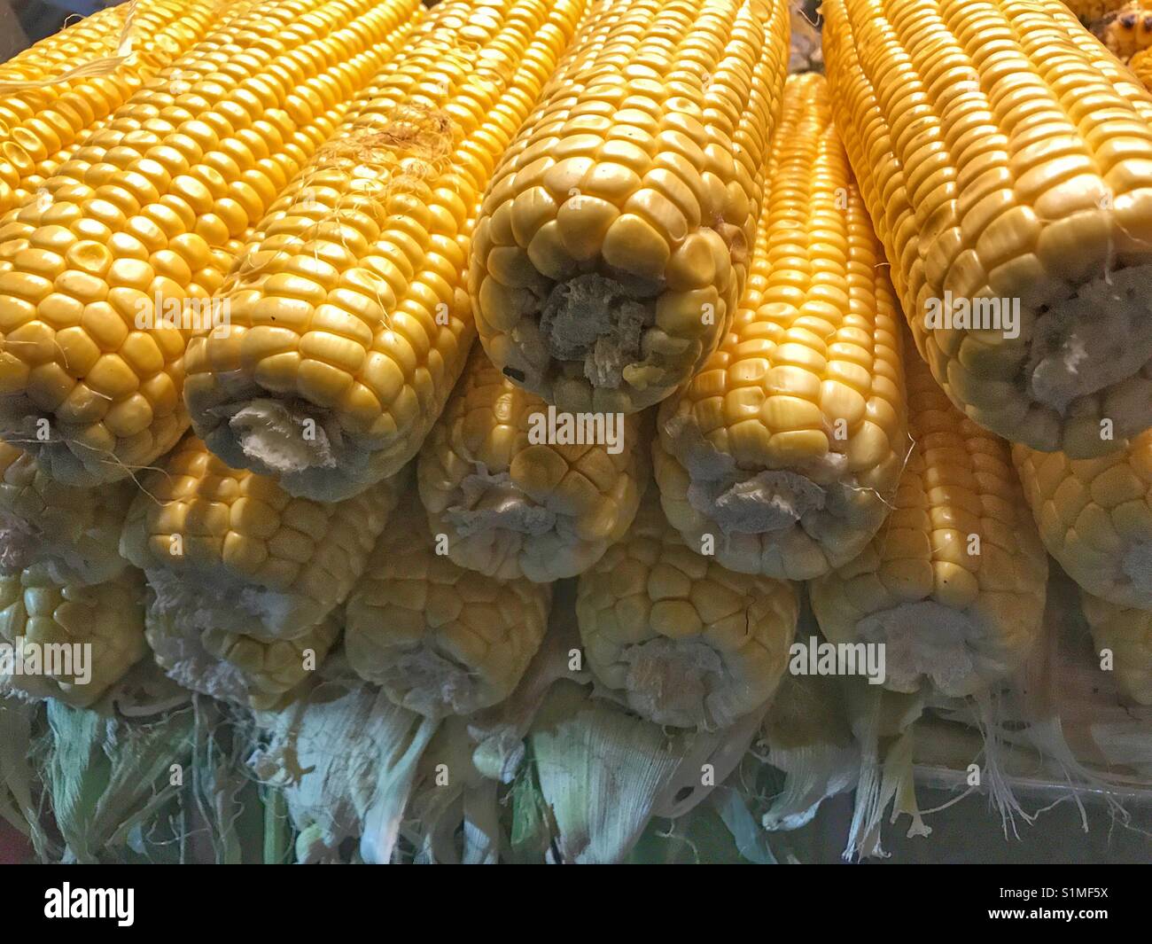 Fresh corn on istanbul streets - Smartphone Captured Stock Image