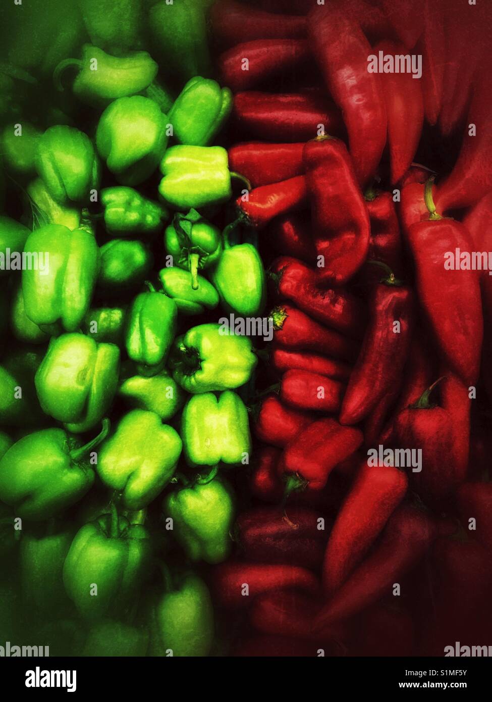 Chili and Sweet - Green and red - Smartphone Captured Stock Image
