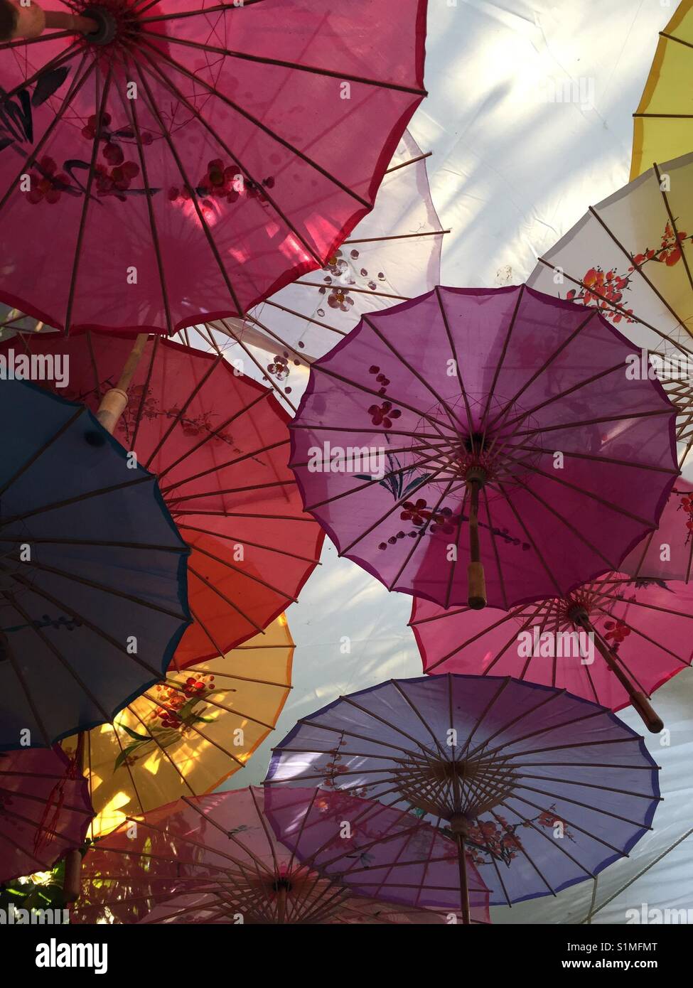 Japanese garden umbrellas Stock Photo Alamy