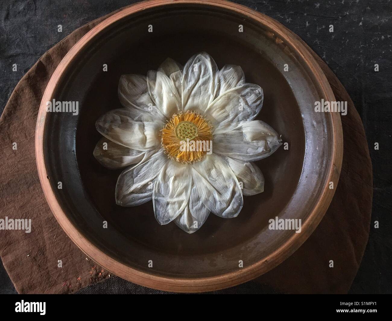 Lotus rea - Smartphone Captured Stock Image