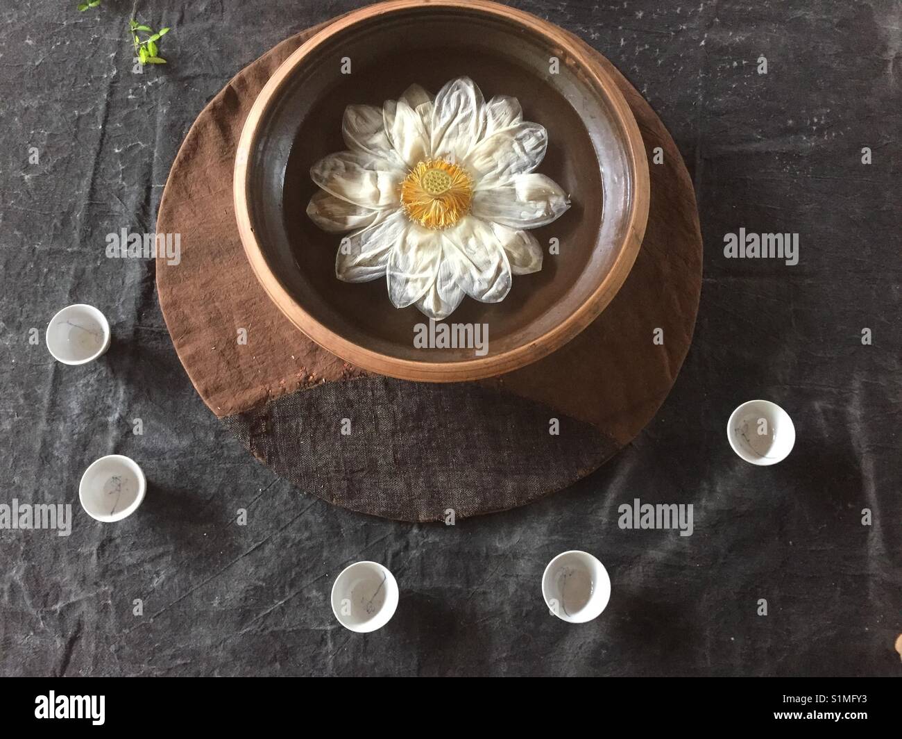 Lotus tea - Smartphone Captured Stock Image