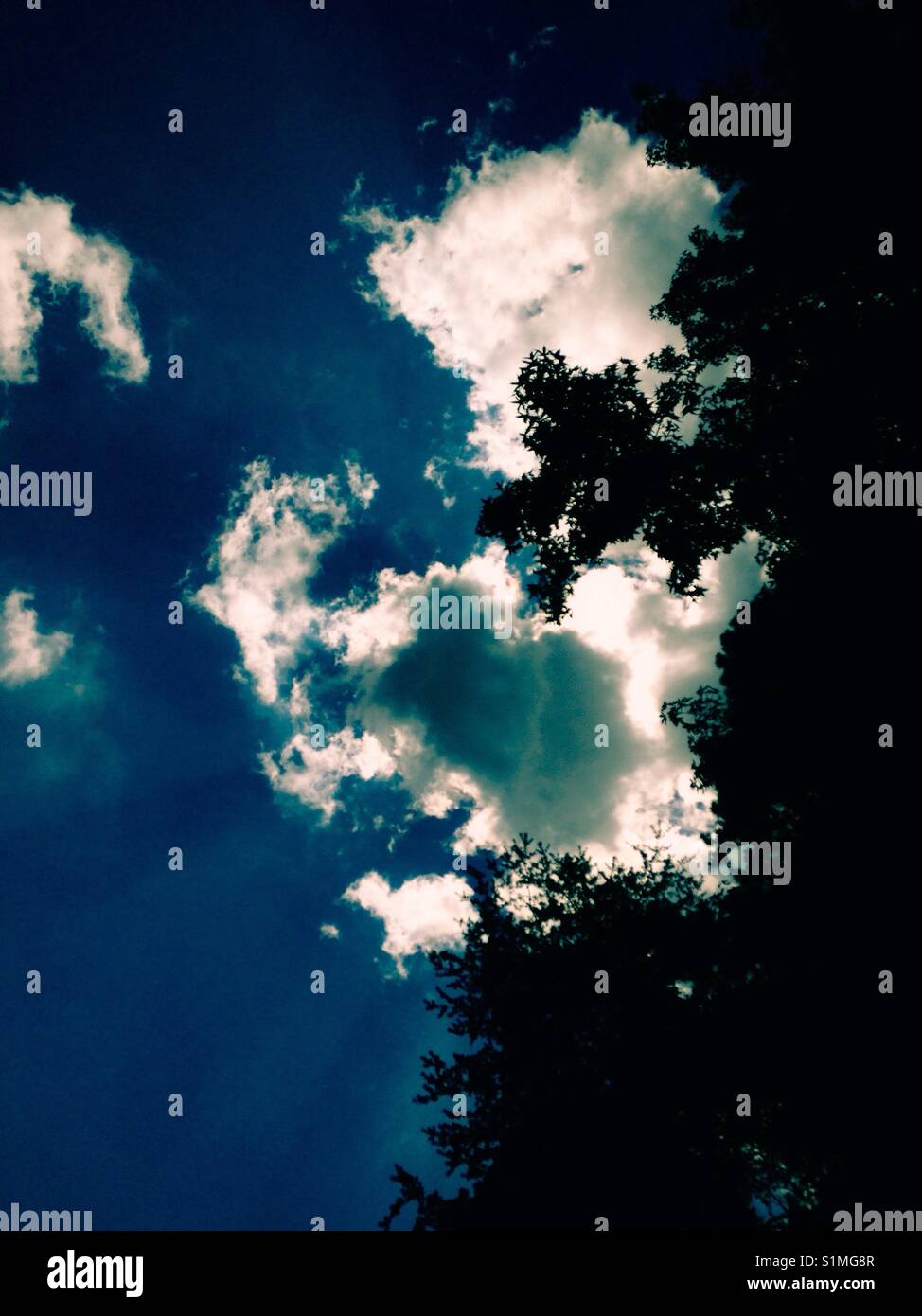 Blue sky, rough clouds, sunbeams, tree line - Smartphone Captured Stock Image