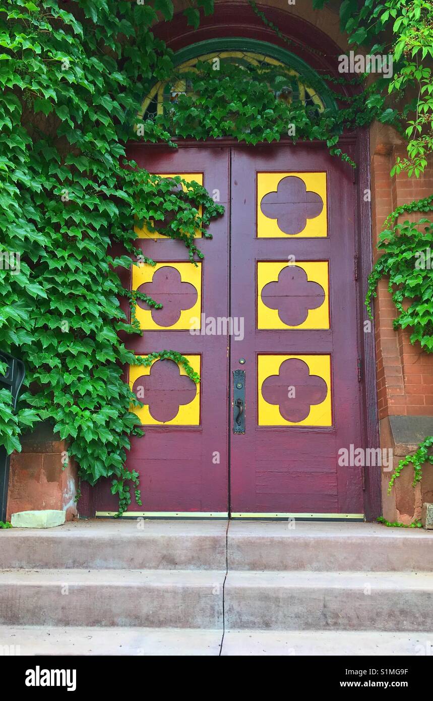 Purple door and ivy Stock Photo
