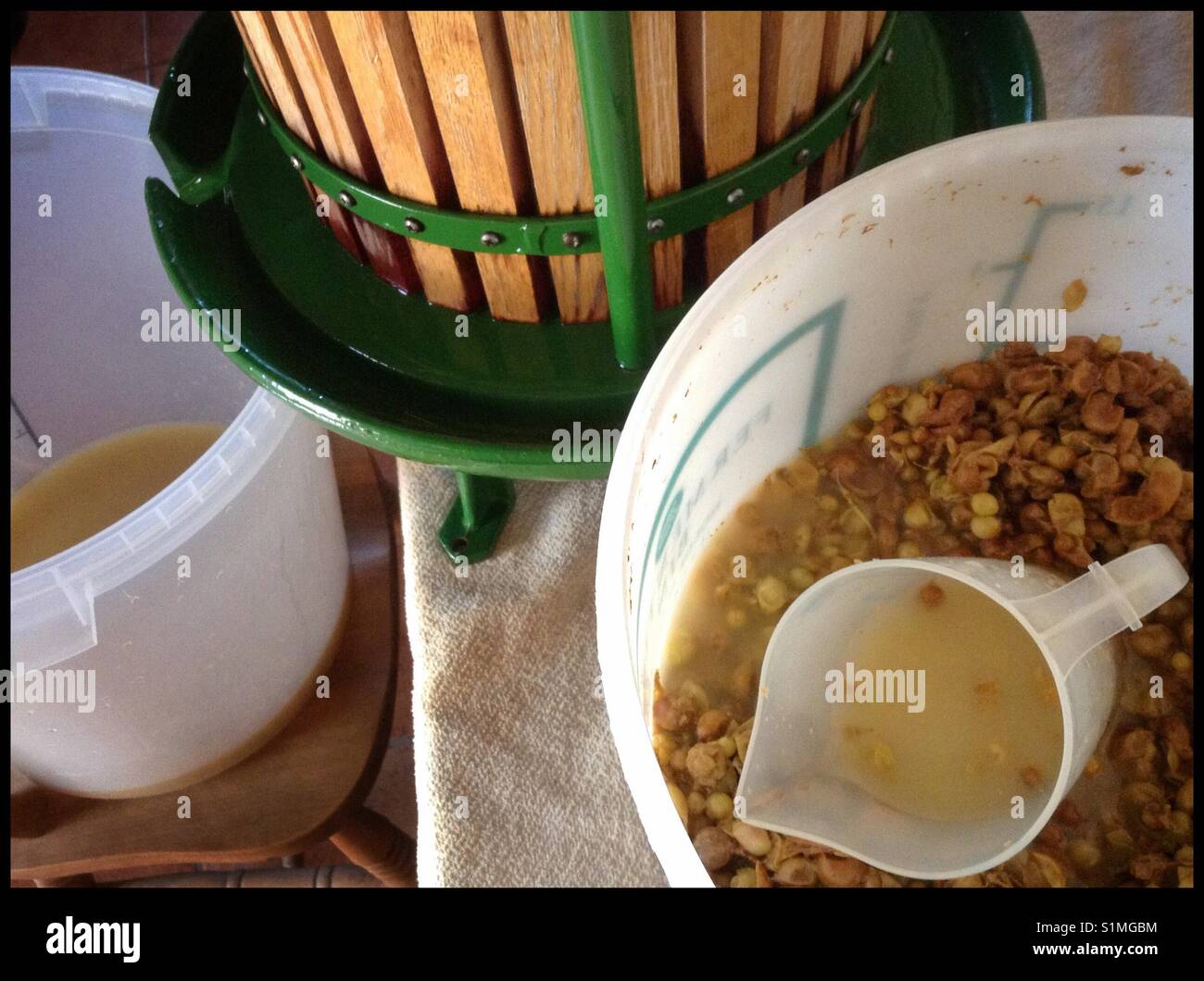 Making "orange wine" from white Macabeo grapes, Catalonia, Spain. Stock Photo