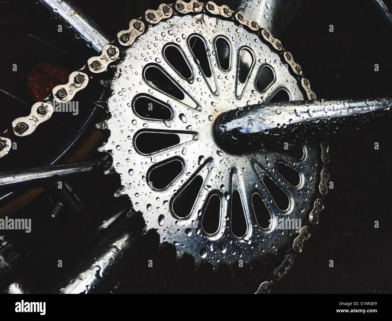Chainring and crankset and chain of a bicycle - Smartphone Captured Stock Image