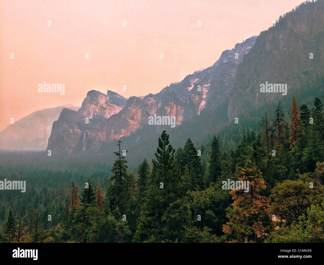 Scenic view up the majestic Yosemite valley. Yosemite National parks, California, United States Stock Photo