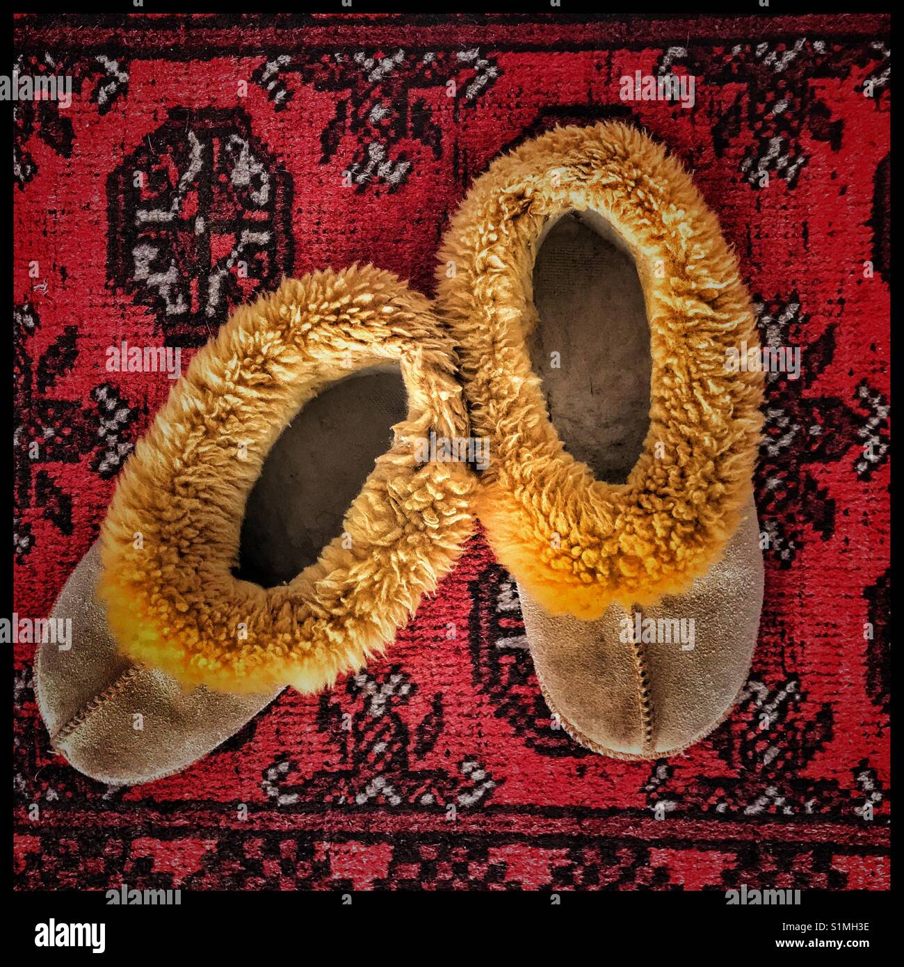 Wool slippers on carpet Stock Photo Alamy