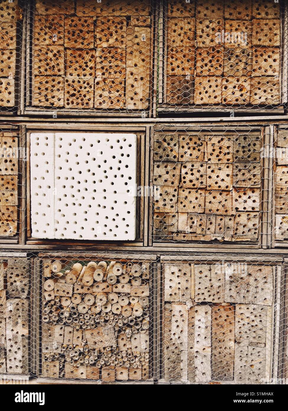 Insect hotel - Smartphone Captured Stock Image