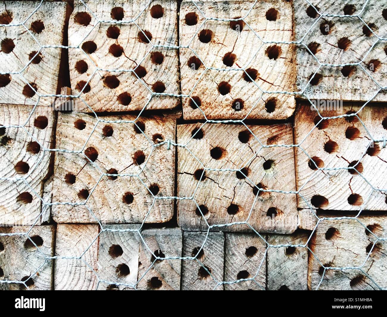 Holes drilled into Logs as an Insect hotel - Smartphone Captured Stock Image