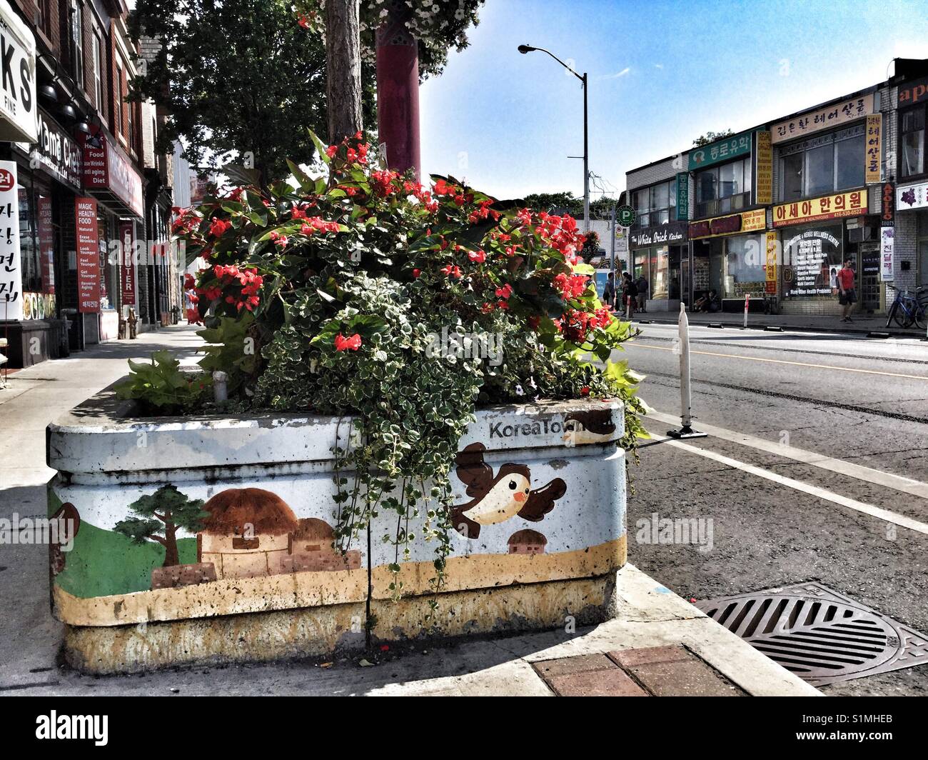 Empty Street In Koreatown Toronto Stock Photo Alamy