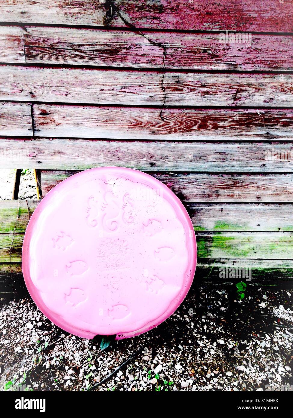 Red shed holds up pink pool - Smartphone Captured Stock Image