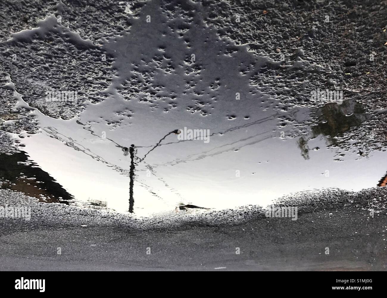 Light pole reflected in a water puddle on the asphalt - Smartphone Captured Stock Image
