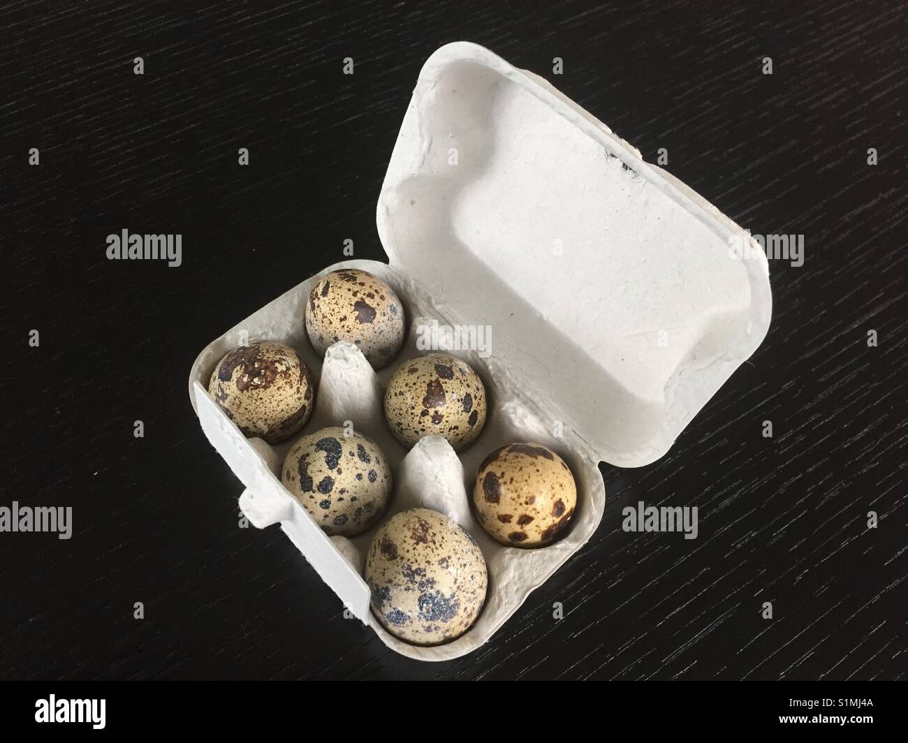 Six quail's eggs in a box Stock Photo