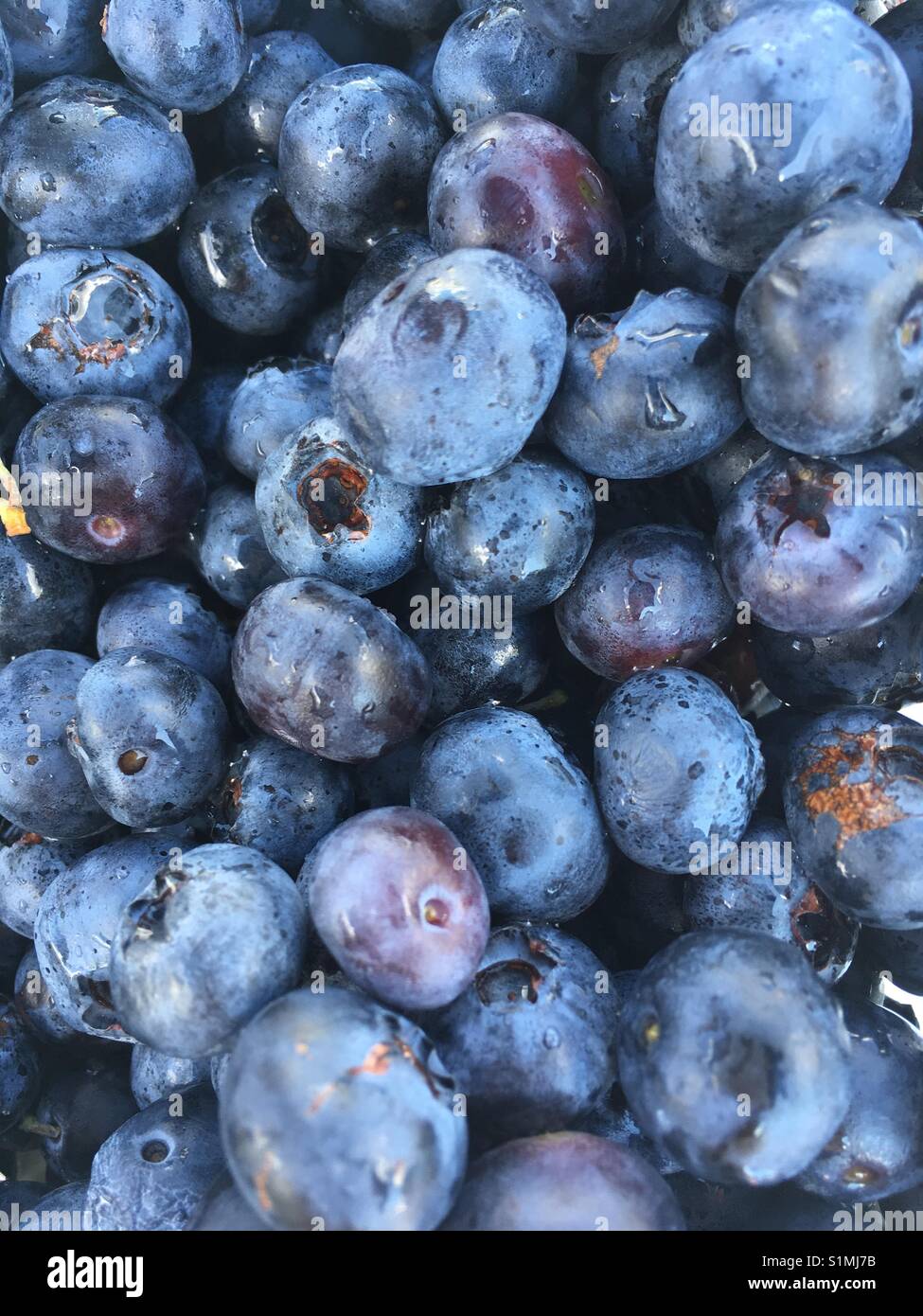 Summer snack by the pool Stock Photo Alamy