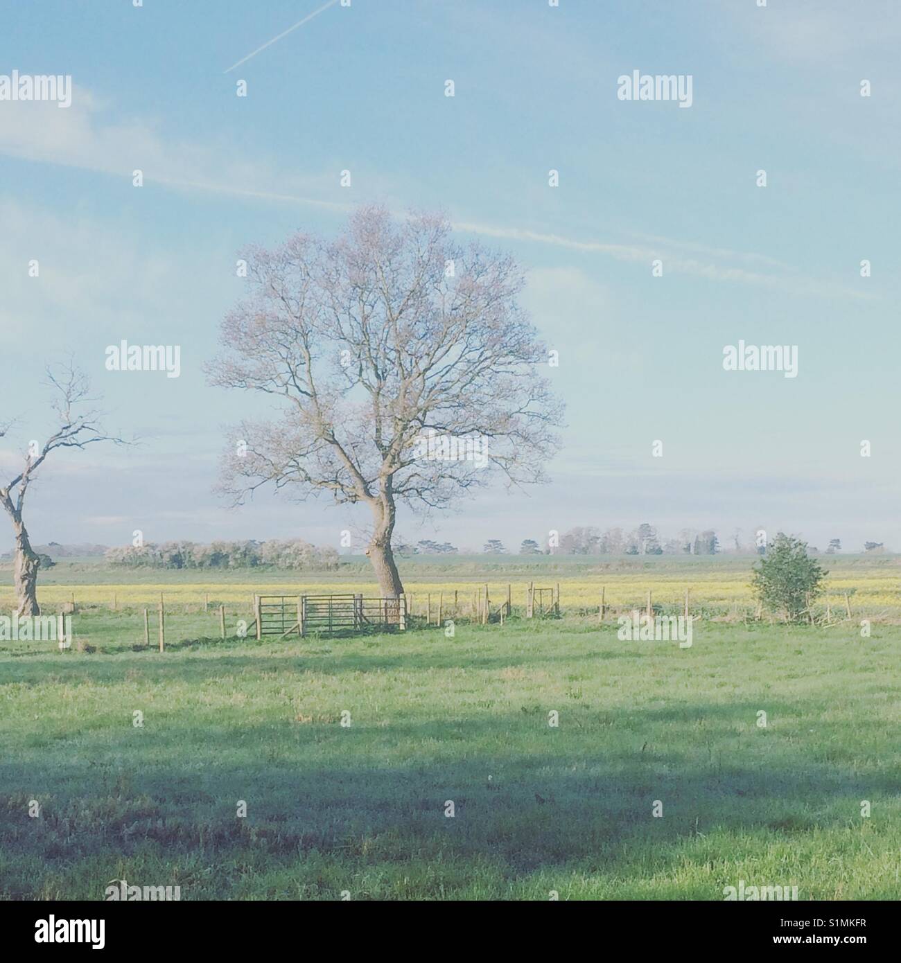 Spring fields hi-res stock photography and images - Alamy